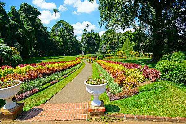 preadeniya botanical garden